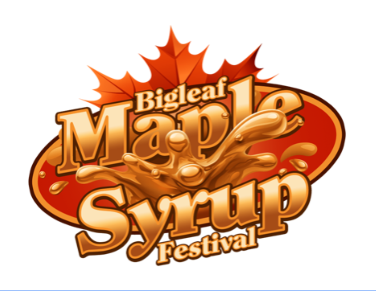 Annual Bigleaf Maple Syrup Festival Edible Vancouver Island